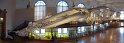 IMG_7852 - Panorama
